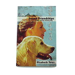 Bob Jones University Press Young Adult: Sound Friendships