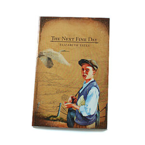 Bob Jones University Press: The Next Fine Day