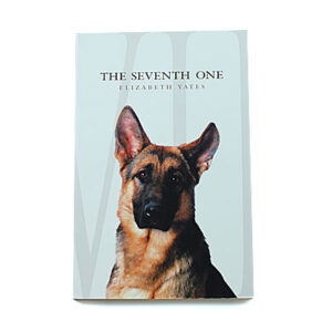 Bob Jones University Press Young Adult: The Seventh One