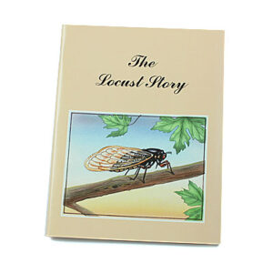 Rod and Staff Storybooks Preschool-7 Years: The Locust Story [Martin]