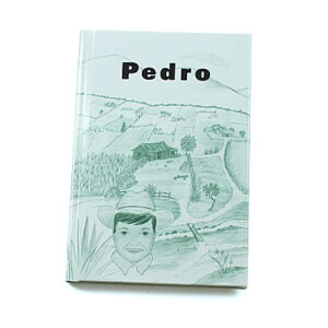 Rod and Staff Storybooks 8-11 Years: Pedro (Hardcover)