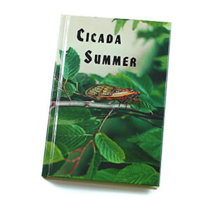 Rod and Staff Storybooks 8-11 Years: Cicada Summer (Hardcover)