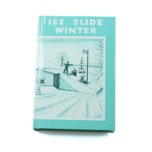 Rod and Staff Storybooks 12-15 Years: Ice Slide Winter (Hardcover)