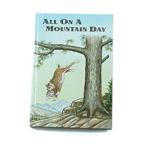 Rod and Staff Storybooks 12-15 Years: All on a Mountain Day