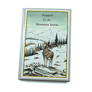Rod and Staff Storybooks 12-15 Years: Trapped by the Mountain Storm (Hardcover)