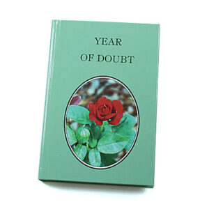 Rod and Staff Storybooks 12-15 Years: Year of Doubt (Hardcover)