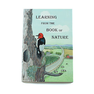 Rod and Staff Storybooks: Learning From the Book of Nature