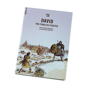 Bible Wise Books: David: The Fearless Fighter