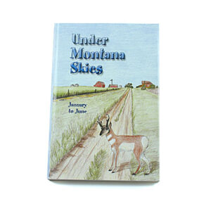 Rod and Staff Storybooks 12-15 Years: Under Montana Skies: January to June