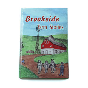Rod and Staff Storybooks 8-11 Years: Brookside Farm Stories